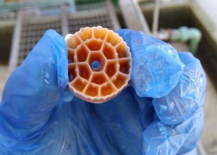 مواد فرج سیاه HDPE مواد فیلتر پلاستیکی MBBR برای آکواریوم 25mm X 12mm