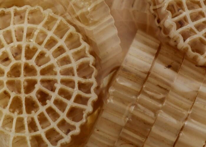 پلی اتیلن BIO توپ های فیلتر رسانه FDA ایمن بدون سمی K1 Micro MBBR رسانه